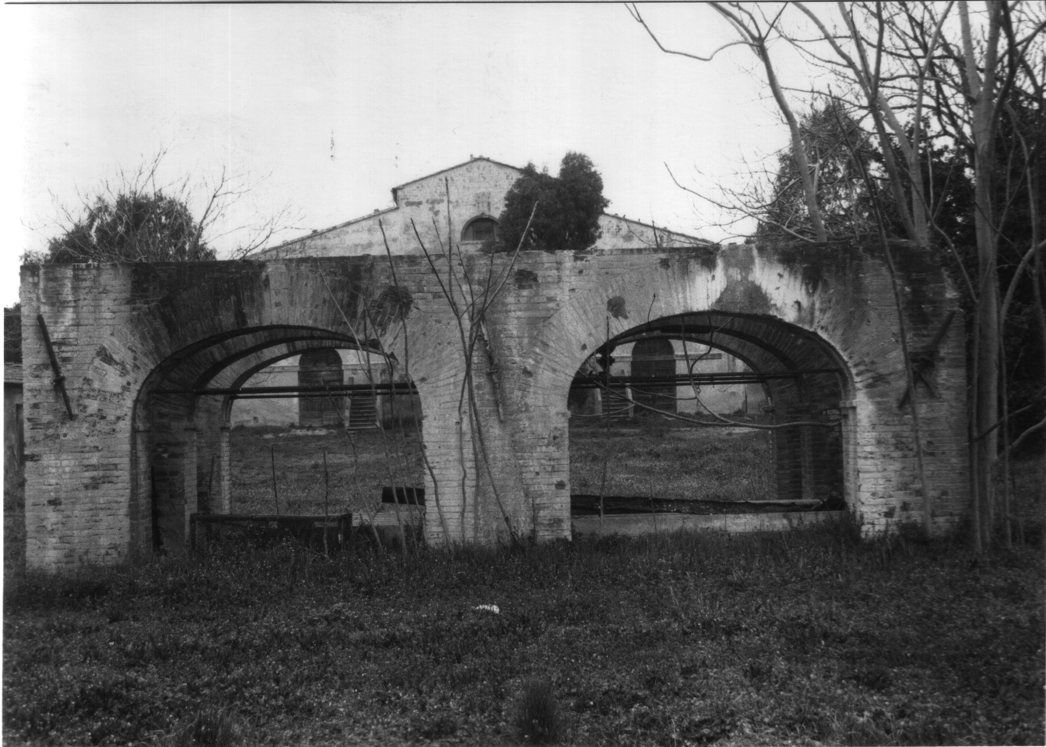 Abbeveratoio della fattoria il Paduletto (abbeveratoio, privato) - Cecina (LI) 