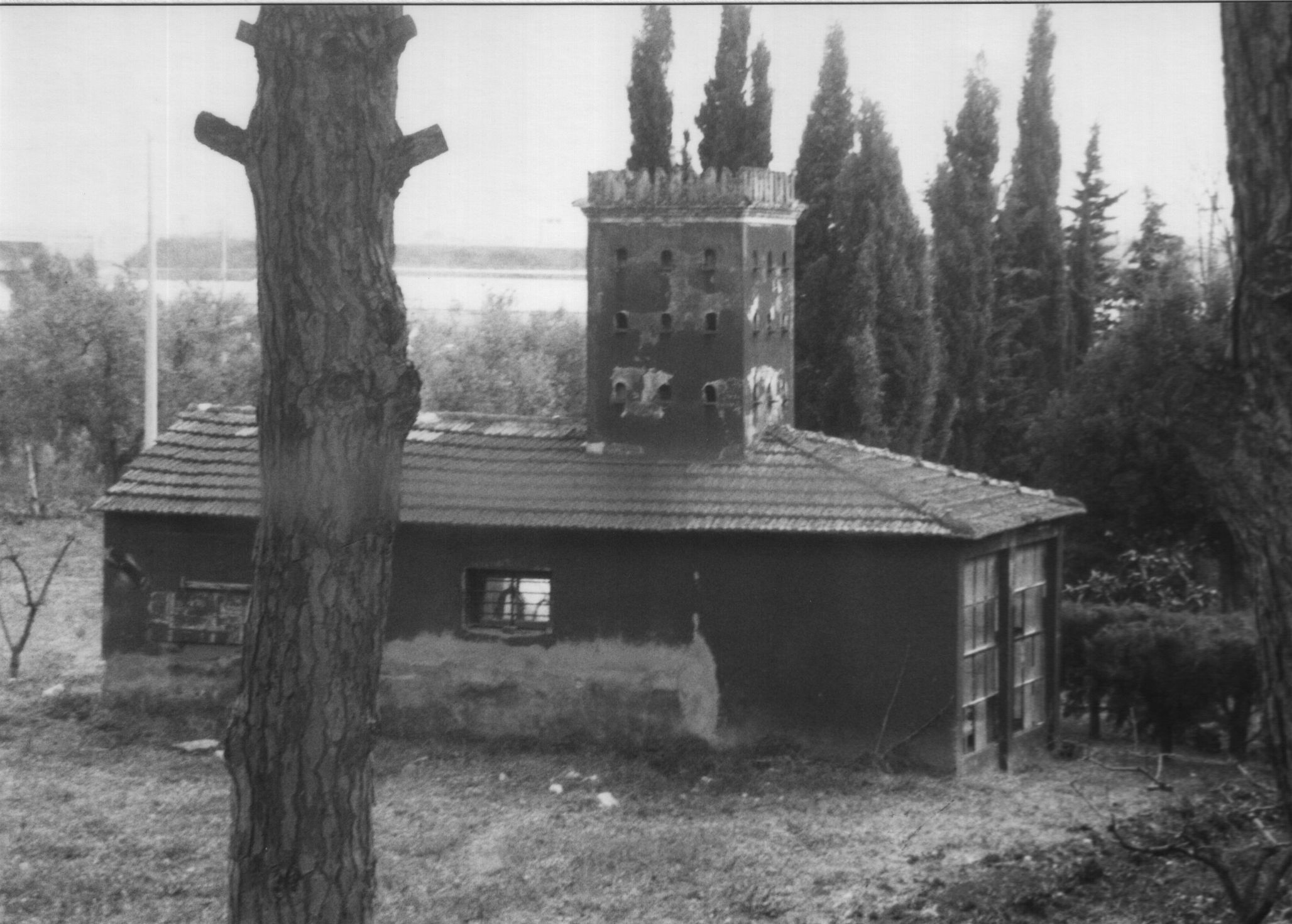 Serra della villa la Ghinchia (serra) - Cecina (LI) 