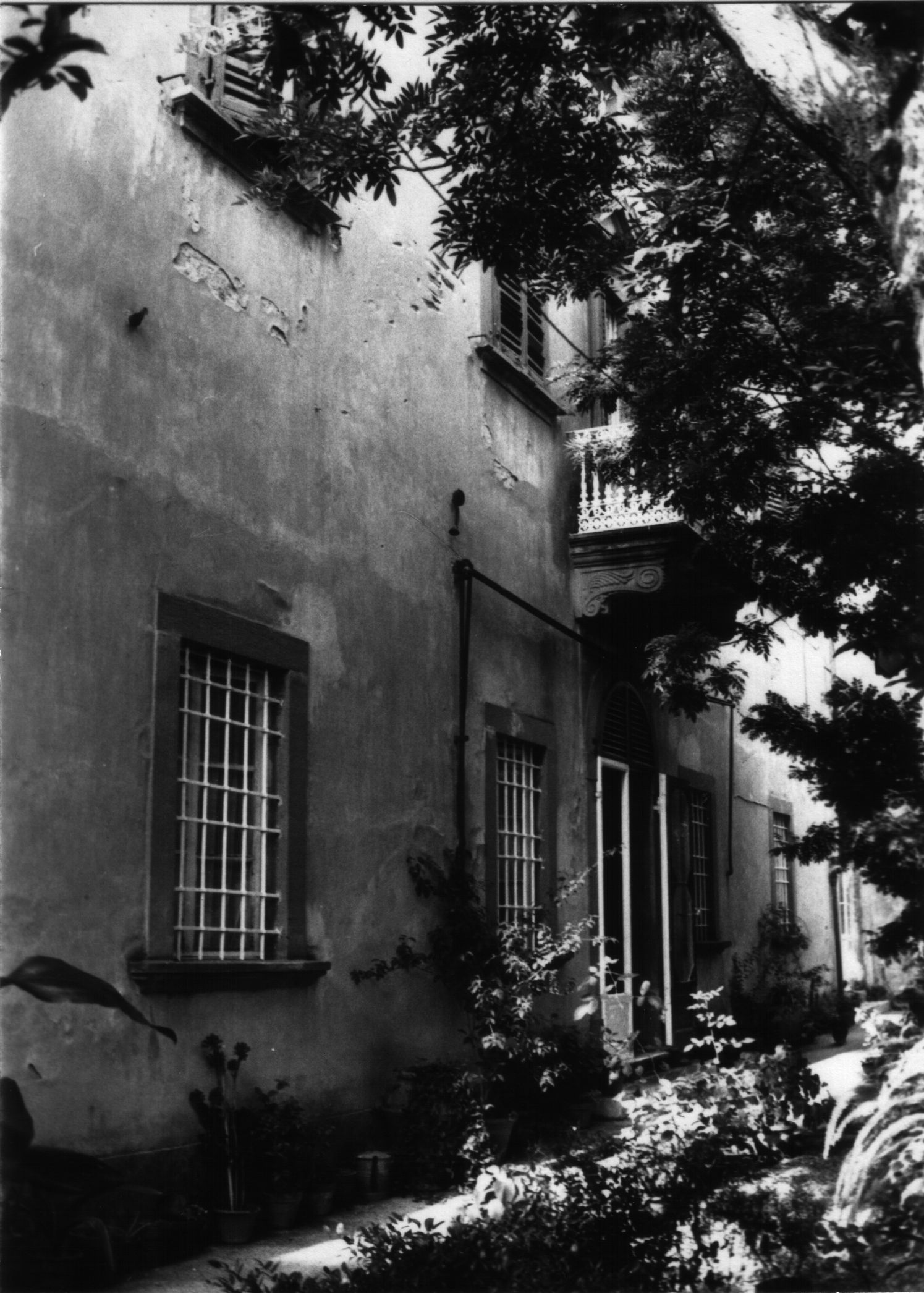 villa Puccinelli (villa, padronale) - Vecchiano (PI) 
