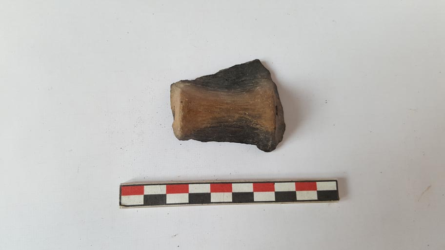 recipiente/ ansa (XVIII-XVI a.C)