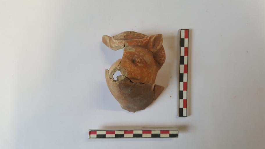 maiale (statuetta/ zoomorfa, testa) (IV-III a.C)