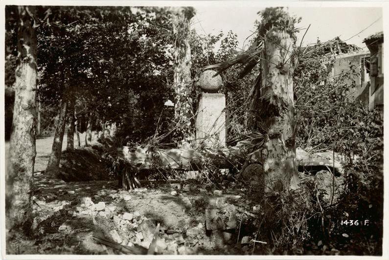 Veneto - Nervesa - artiglieria - macerie - rovine - edifici - alberi - 1918 (positivo) di Marzocchi, Luigi (primo quarto XX)
