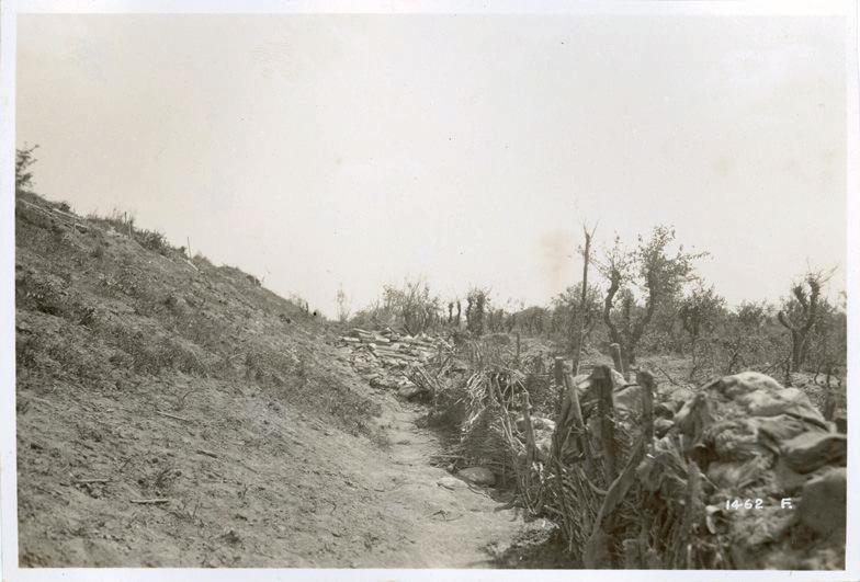 Veneto - Basso Piave - Musile - Piave - argini - reticolati - posizioni - 1918 (positivo) di Marzocchi, Luigi (primo quarto XX)