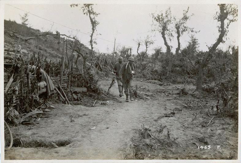 Veneto - Basso Piave - Musile - feriti - reticolati - 1918 (positivo) di Marzocchi, Luigi (primo quarto XX)