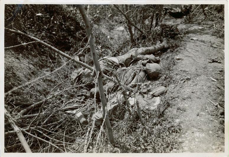 Veneto - Fossalta - caduti - cadaveri - morte - 1918 (positivo) di Marzocchi, Luigi (primo quarto XX)