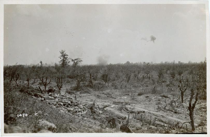 Veneto - Basso Piave - Musile - Piave - argini - reticolati - trincee - artiglieria - esplosioni - 1918 (positivo) di Marzocchi, Luigi (primo quarto XX)