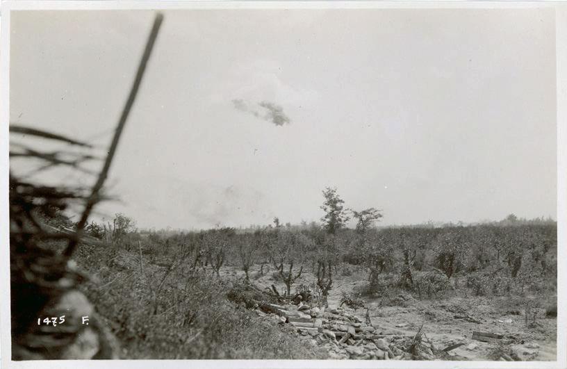 Veneto - Basso Piave - Musile - artiglieria - esplosioni - reticolati - trincee - 1918 (positivo) di Marzocchi, Luigi (primo quarto XX)