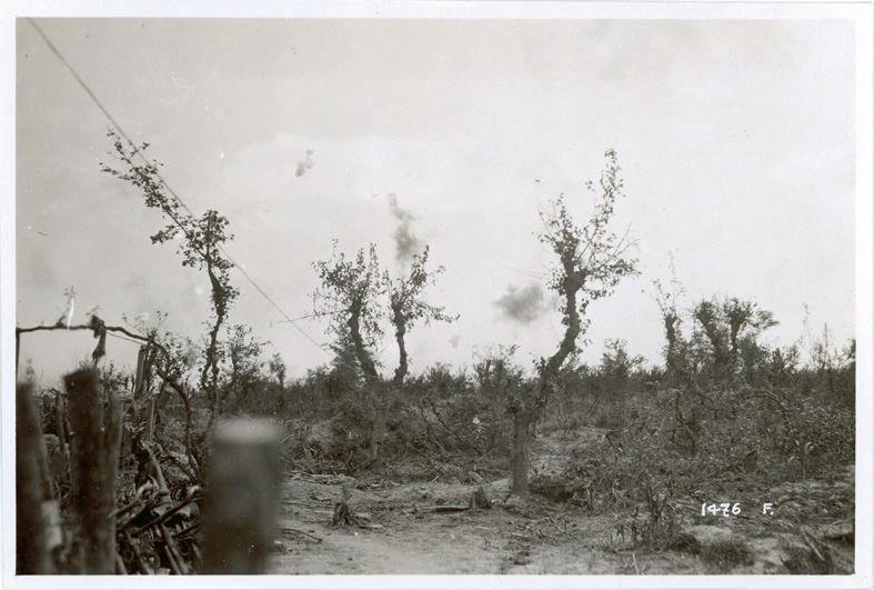 Veneto - Basso Piave - Musile - artiglieria - esplosioni - reticolati - 1918 (positivo) di Marzocchi, Luigi (primo quarto XX)