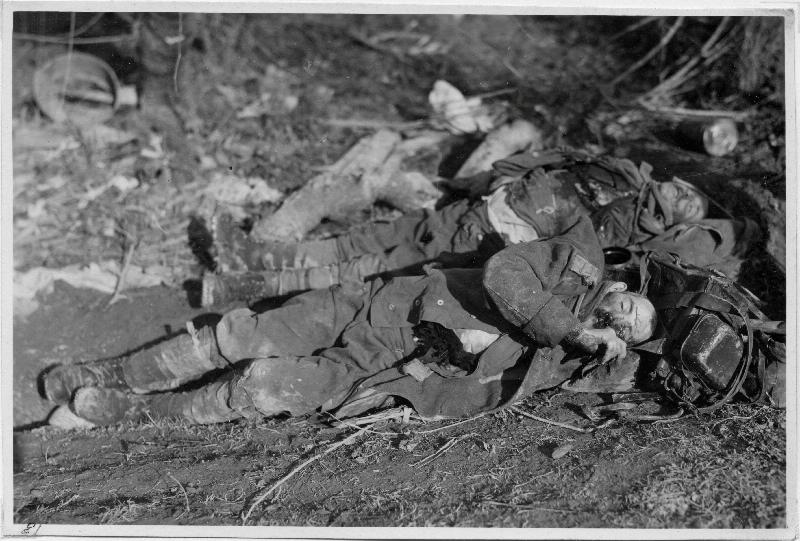 Piave - cadaveri - soldati austriaci - 1917 (positivo) di Marzocchi, Luigi (primo quarto XX)