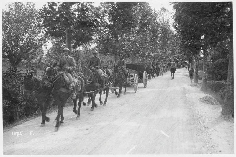 movimenti - artiglierie - profughi - cavalli - 1918 (positivo) di Marzocchi, Luigi (primo quarto XX)