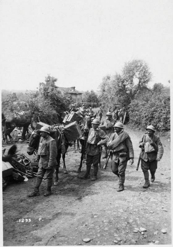 Montello - munizioni - muli - trasporti - 1918 (positivo) di Marzocchi, Luigi (primo quarto XX)