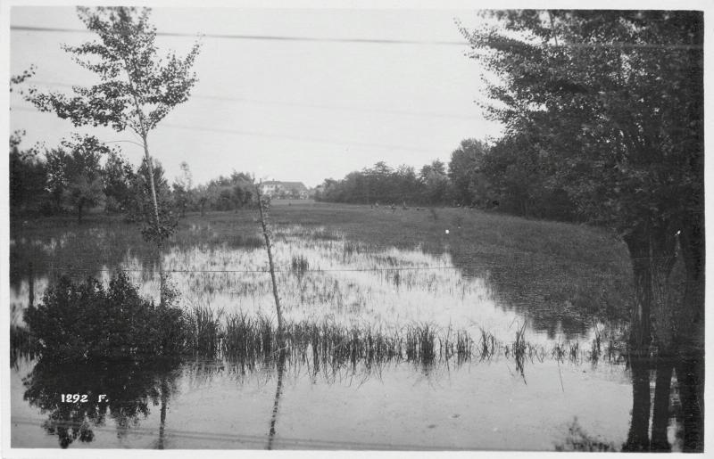 Fossalta di Piave- paludi - pattuglie - 1918 (positivo) di Marzocchi, Luigi (primo quarto XX)