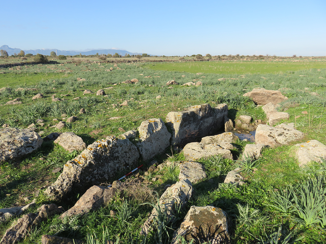 Tomba di giganti serdis (tomba di giganti, area ad uso funerario)