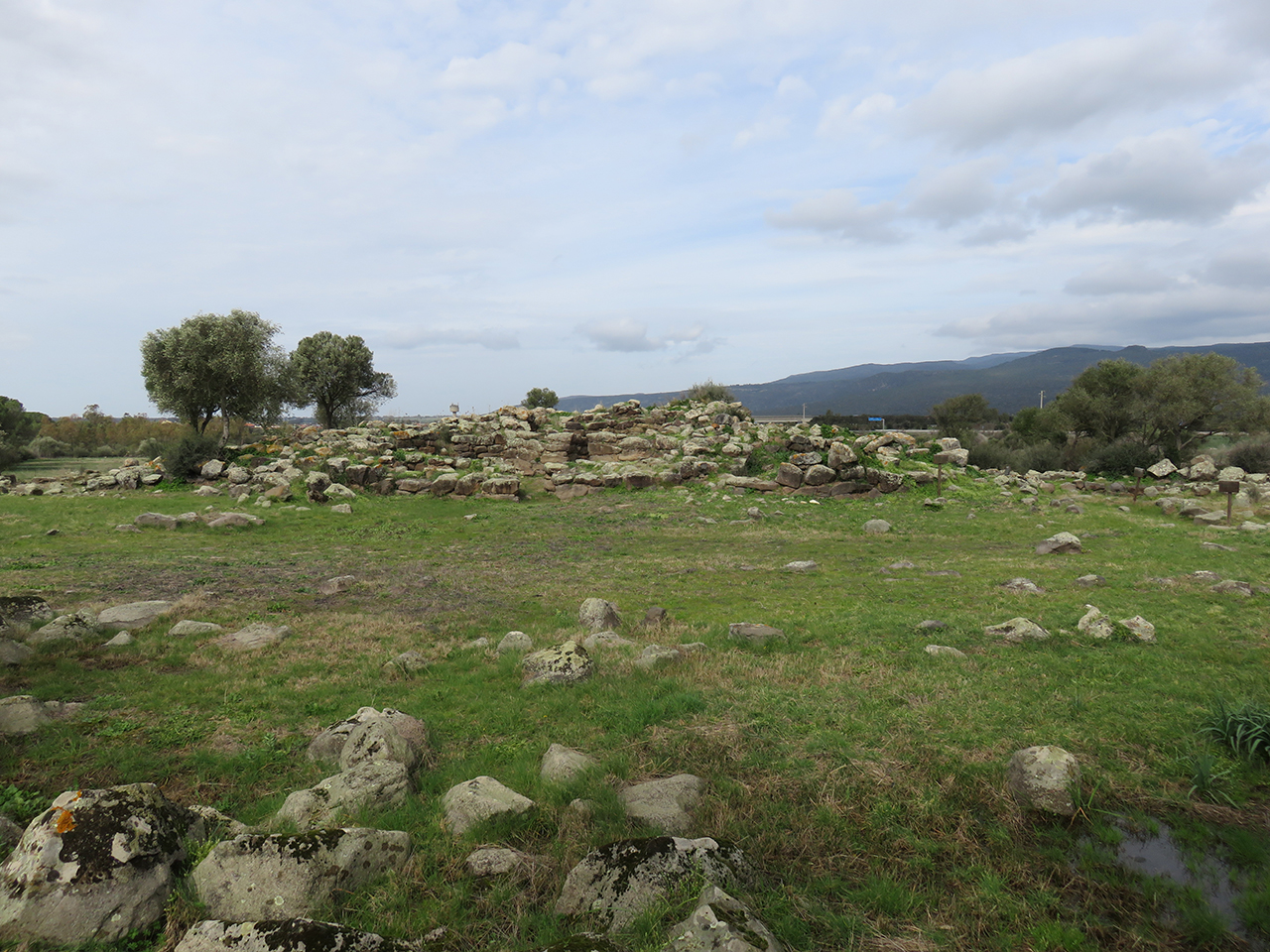 Nuraghe sa domu beccia (nuraghe, struttura di fortificazione)