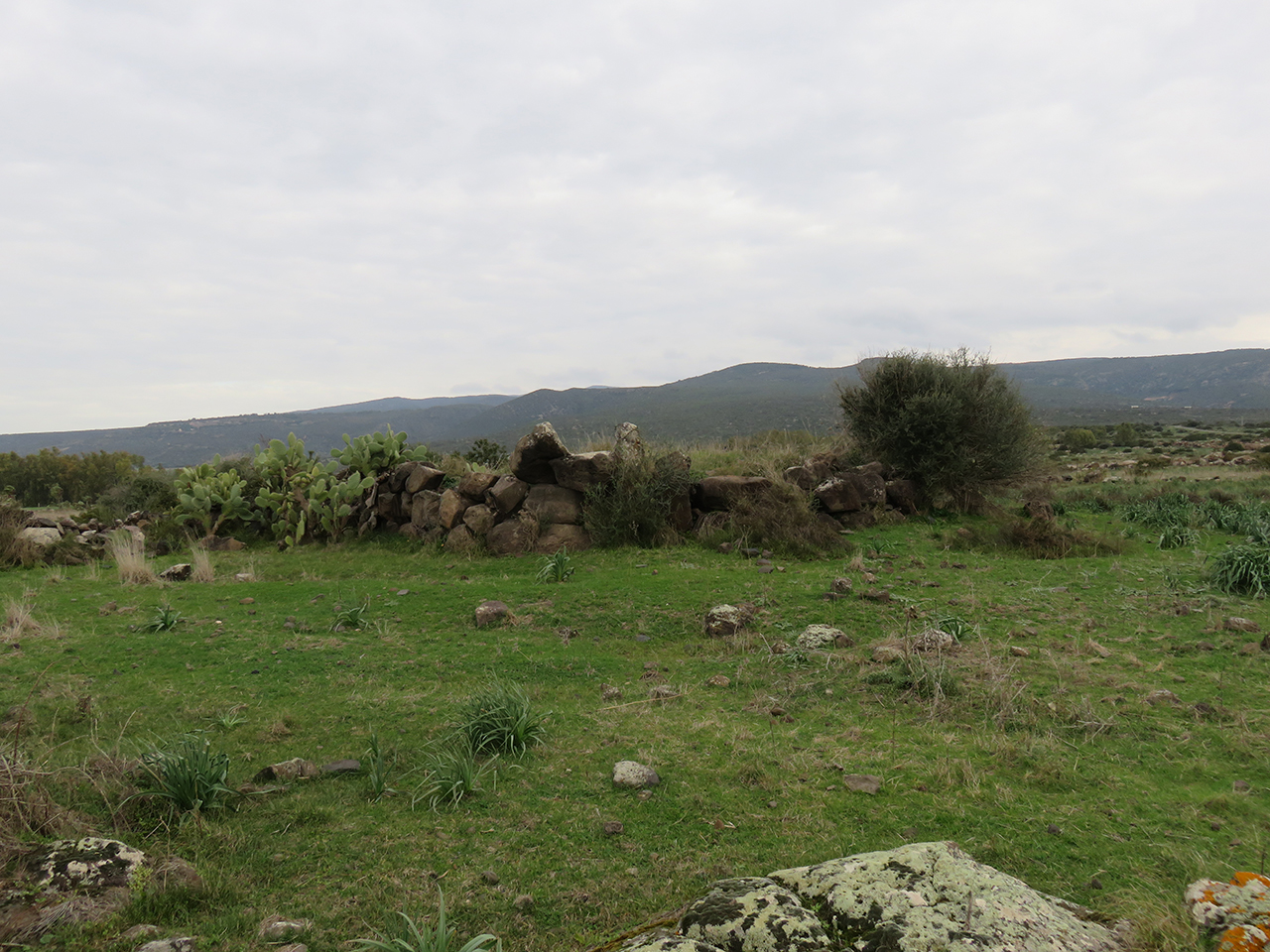 Nuraghe Arrubiu (nuraghe, struttura di fortificazione) - Uras (OR)  (Neolitico-Alto Medioevo)