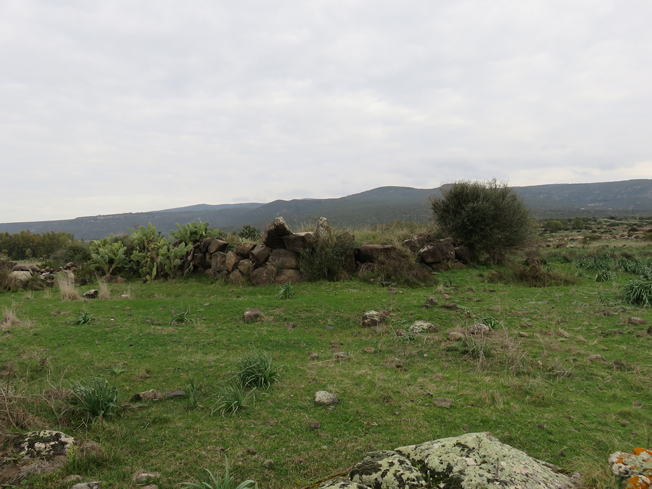 Nuraghe arrubiu (nuraghe, struttura di fortificazione)