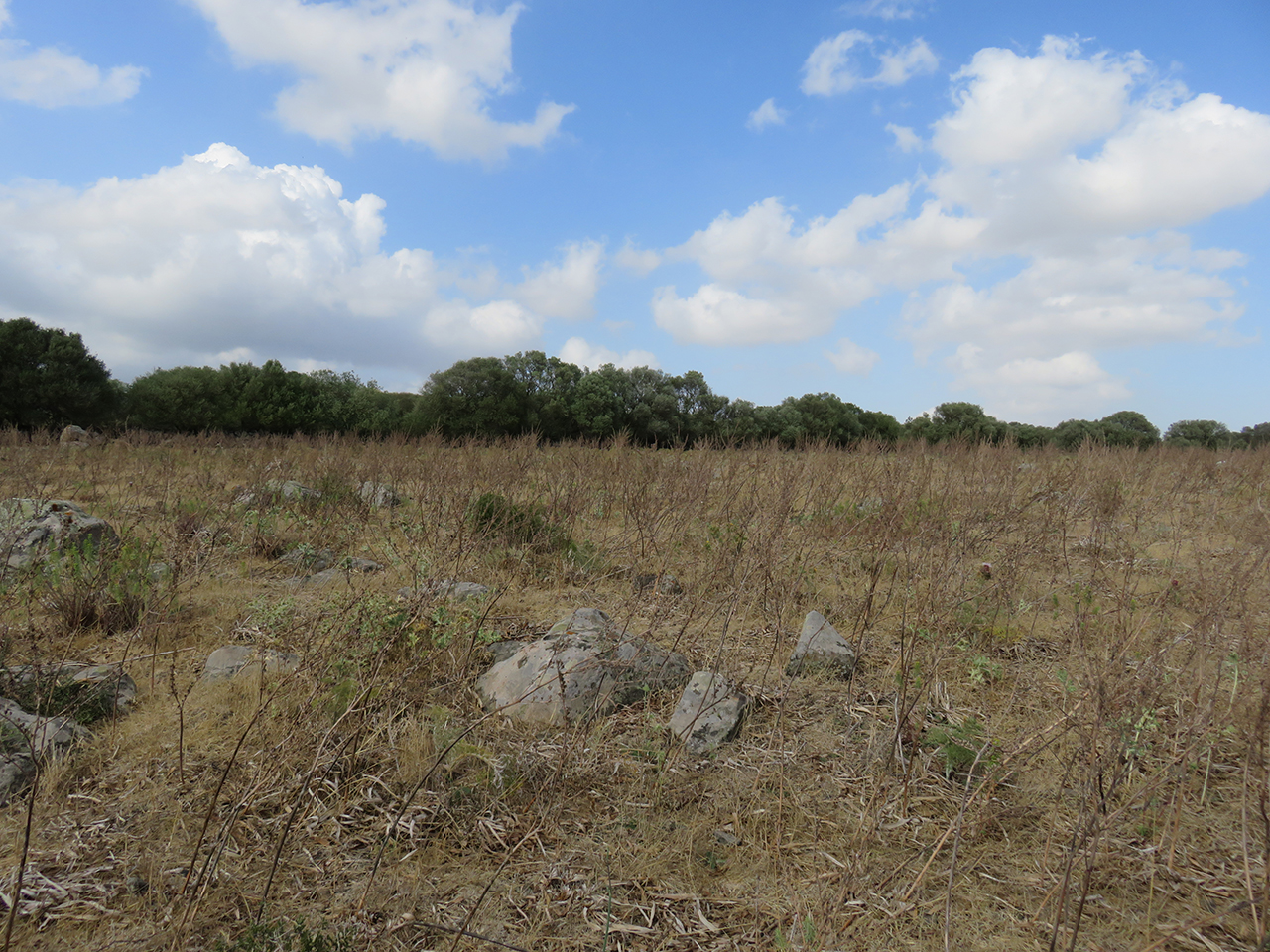 Villaggio nuragico sa domu beccia (villaggio nuragico, insediamento)