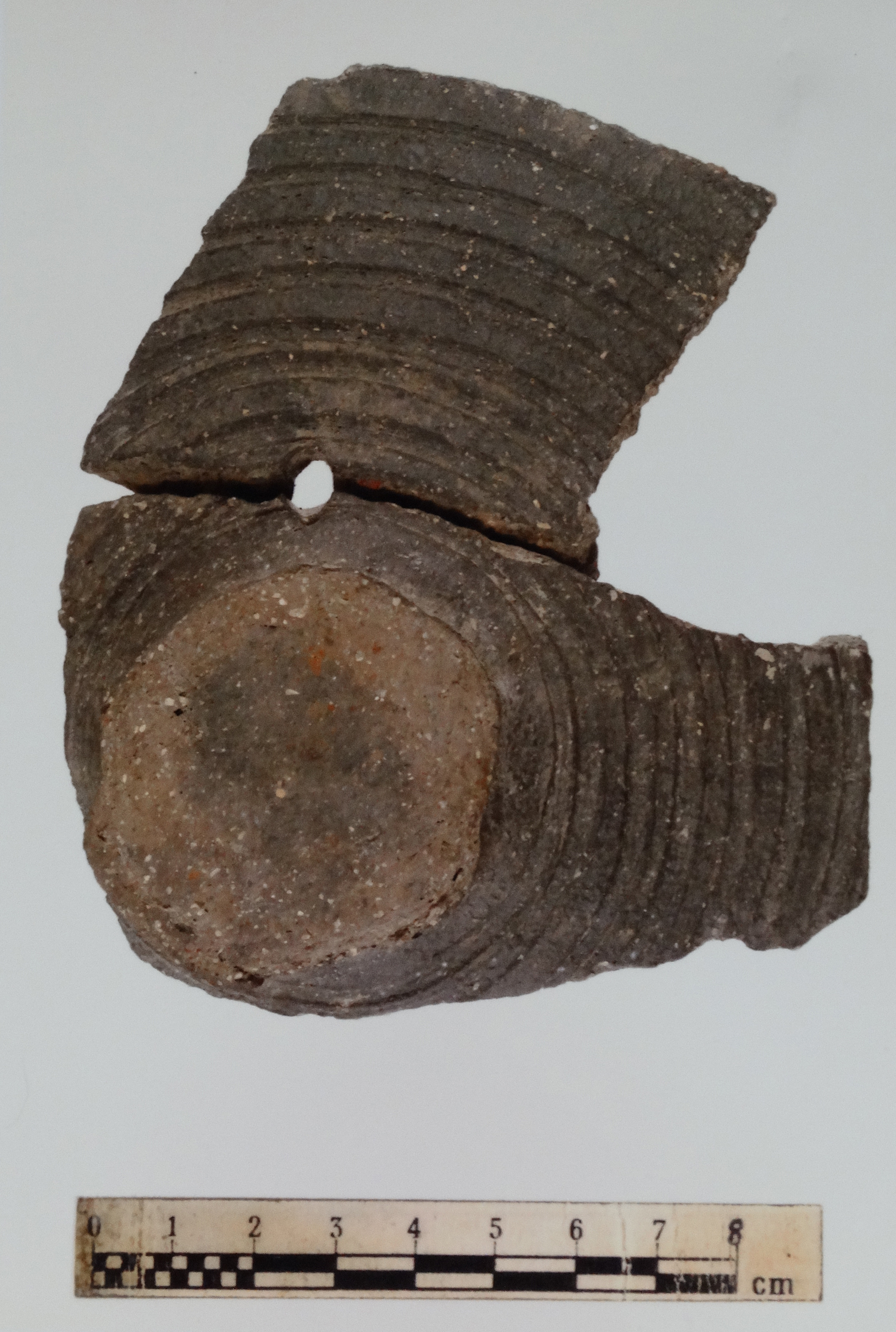 Coperchio/ frammento - produzione romana (sec. I-II d.C)