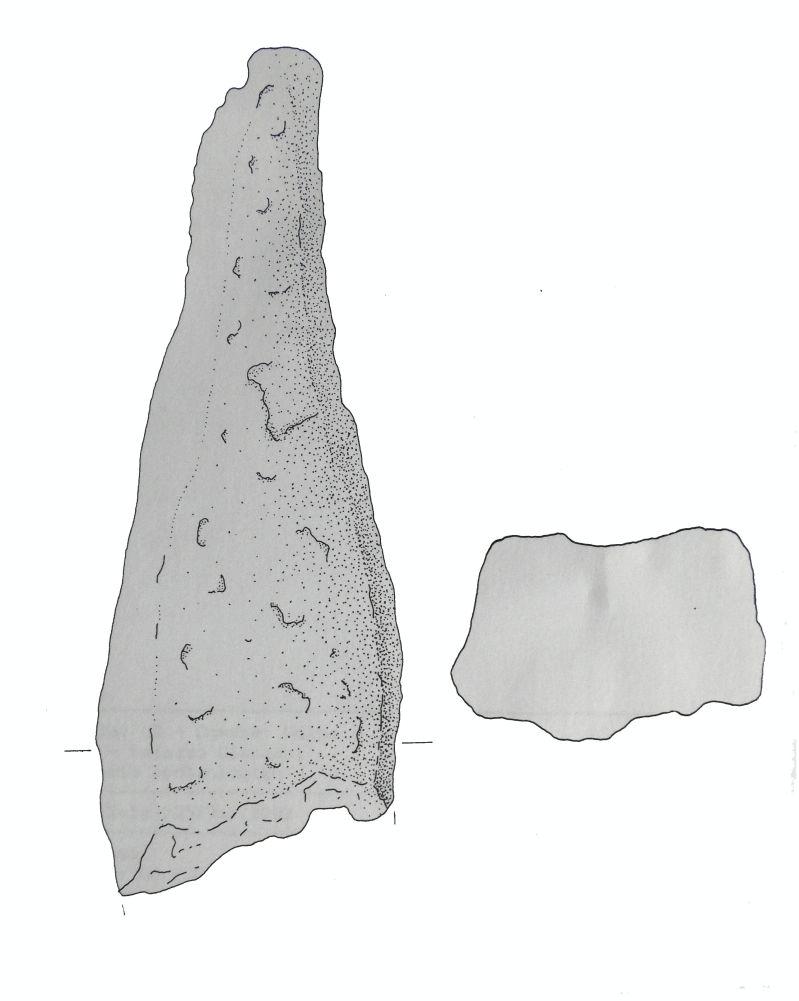 braccio di pane, a piccone - Cultura dell'età del bronzo finale-Friuli Centrale (fine/inizio tarda età del Bronzo)