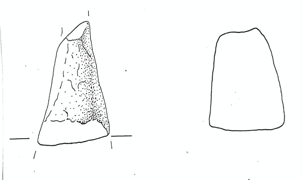 estremità di braccio di pane, a piccone - Cultura dell'età del bronzo finale-Friuli Centrale (fine/inizio tarda età del Bronzo)