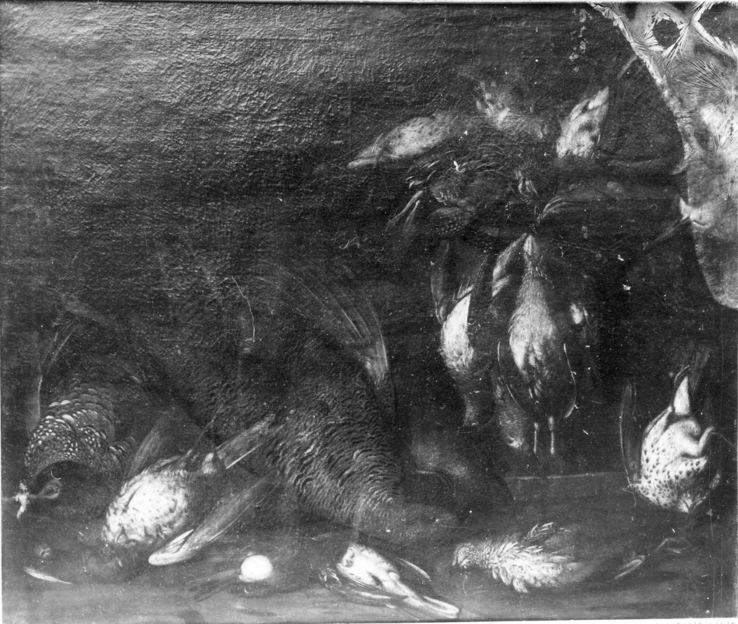 Natura morta con cacciagione (dipinto)