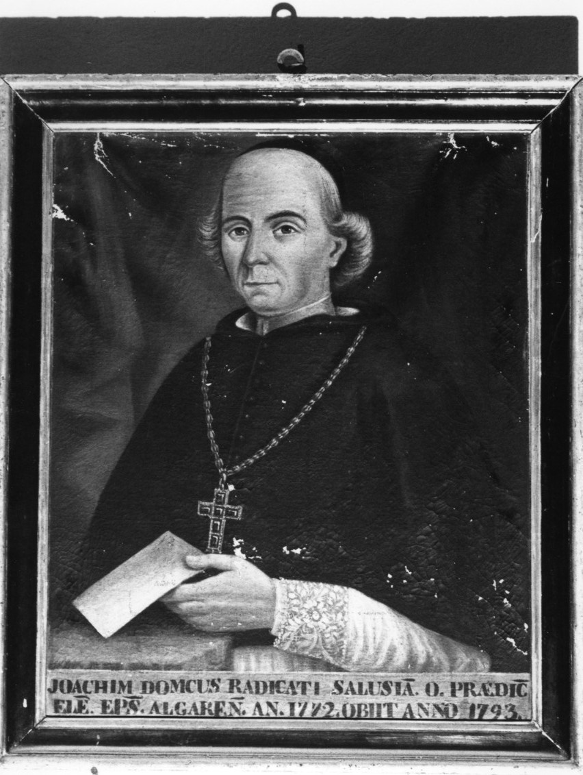 Ritratto del vescovo domenico radicati (dipinto)