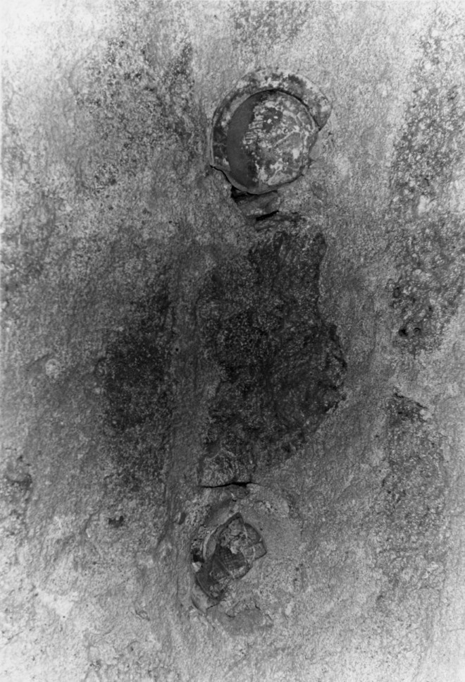 Ciotola, frammento