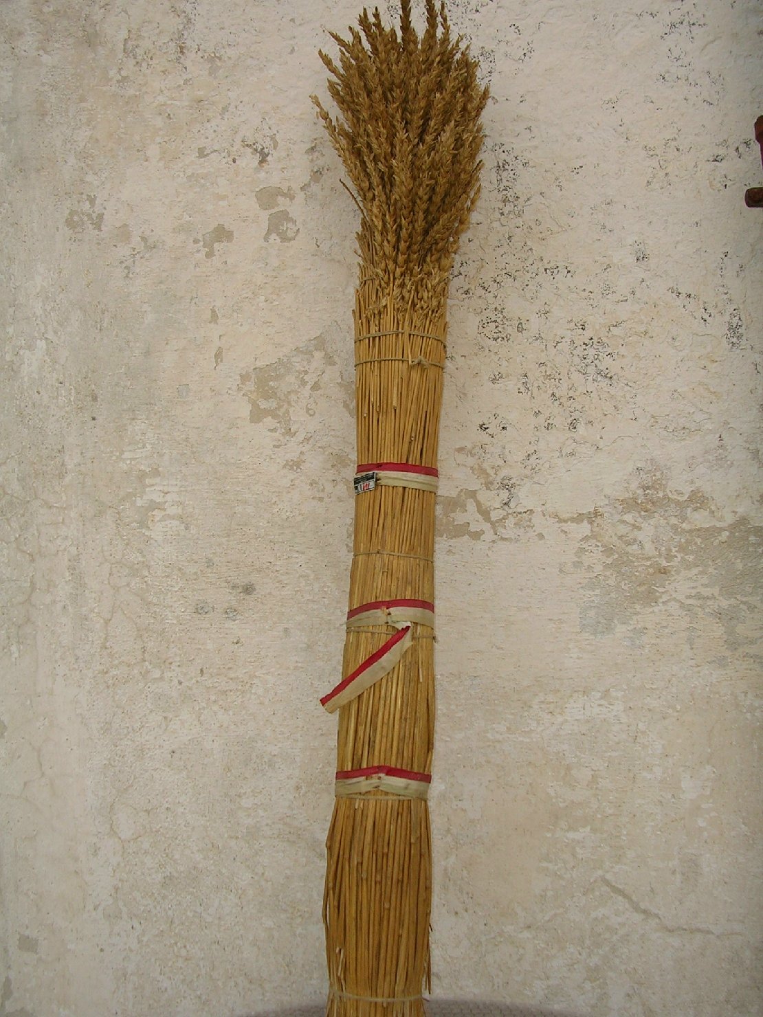 Manipolo di spighe, oggetti commemorativi