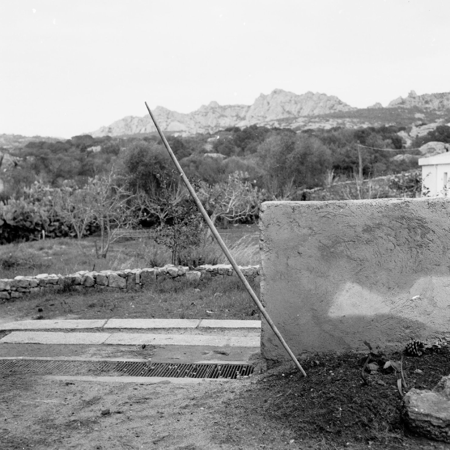 pungolo per buoi - bottega locale (sec. XIX seconda metà)