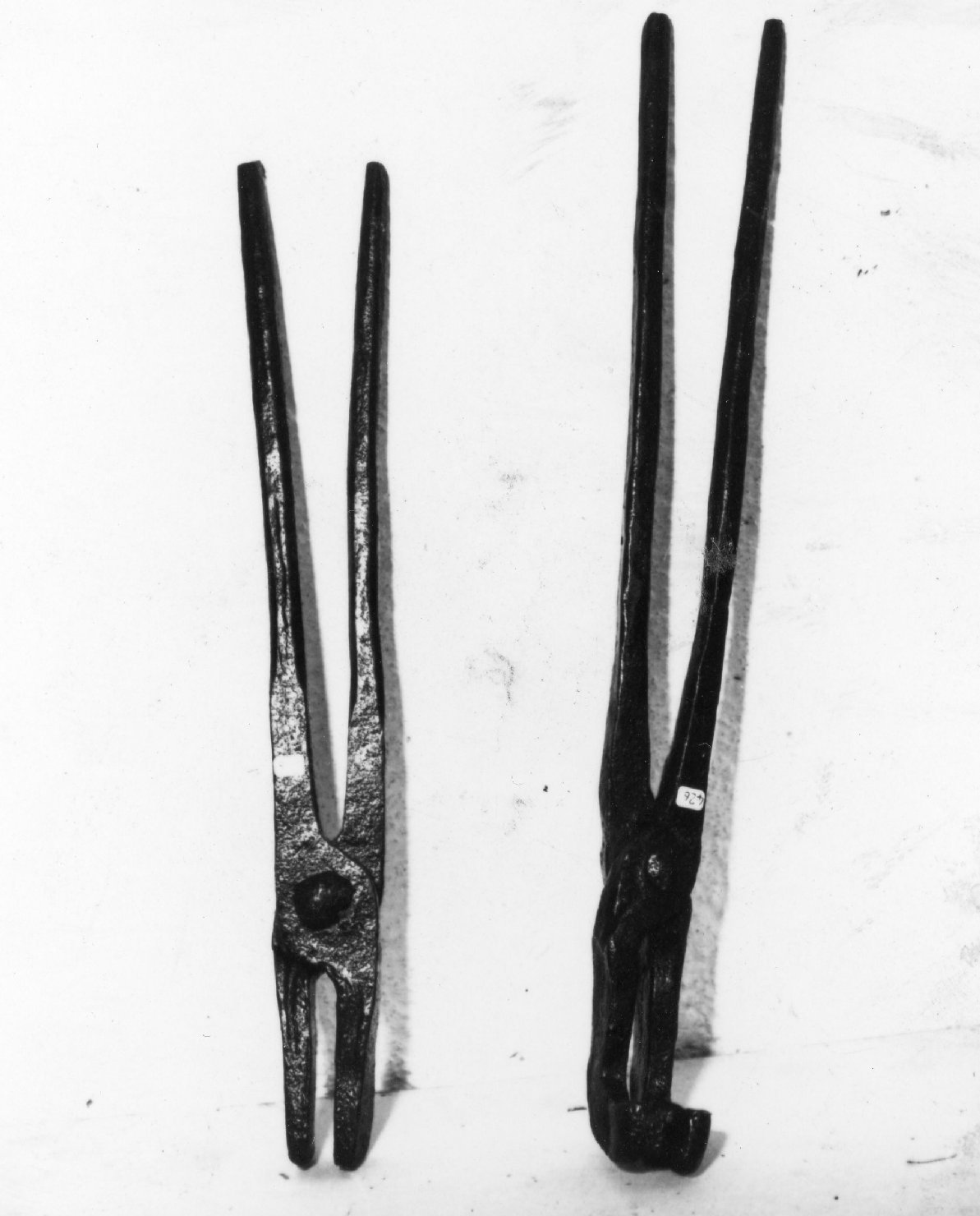 Tenaglia