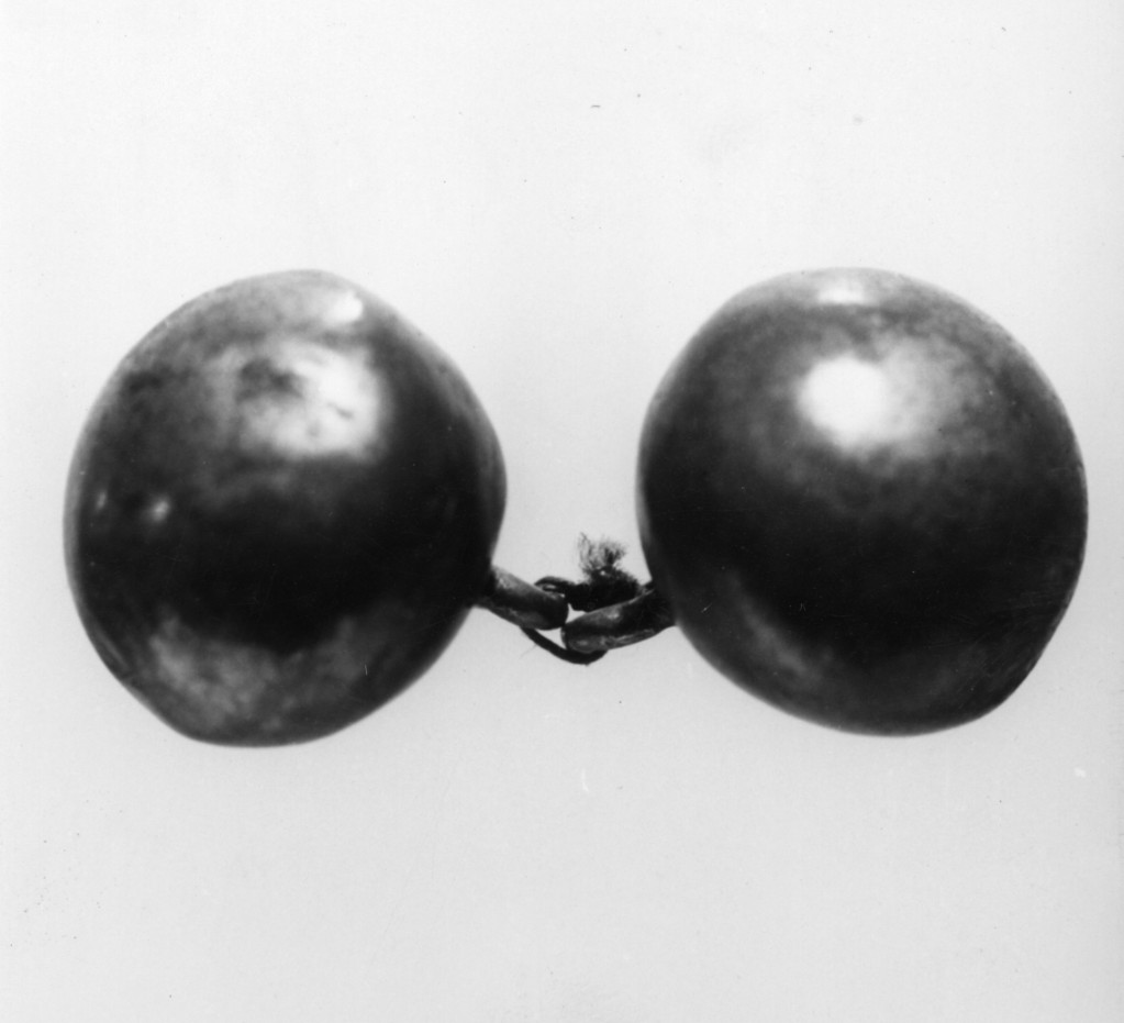 Bottone, oreficeria
