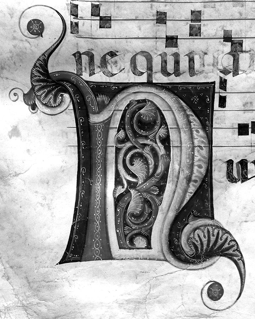 lettera N (miniatura) - ambito fiorentino-aretino (sec. XIII)