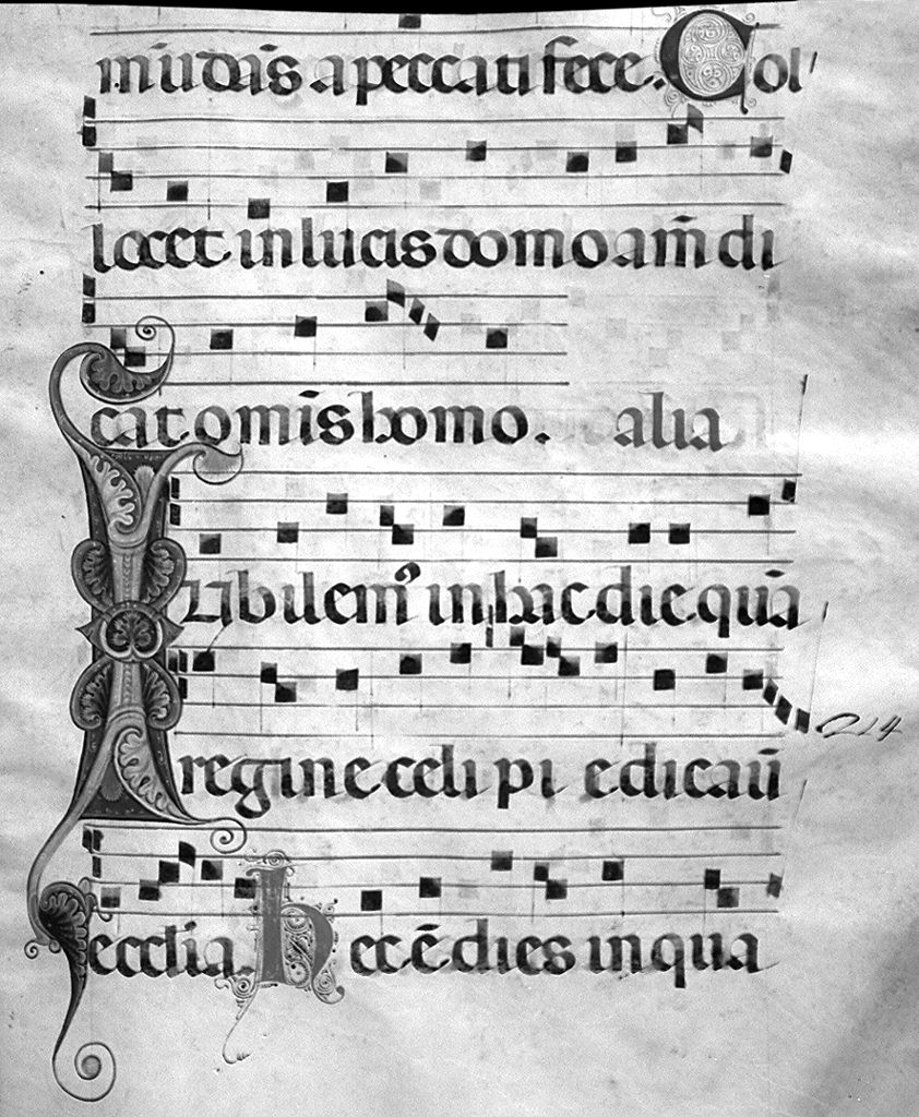 lettera I (miniatura) - ambito fiorentino-aretino (sec. XIII)