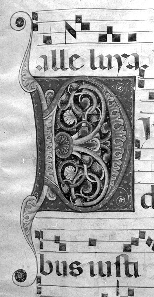 lettera D (miniatura) - ambito fiorentino-aretino (sec. XIII)
