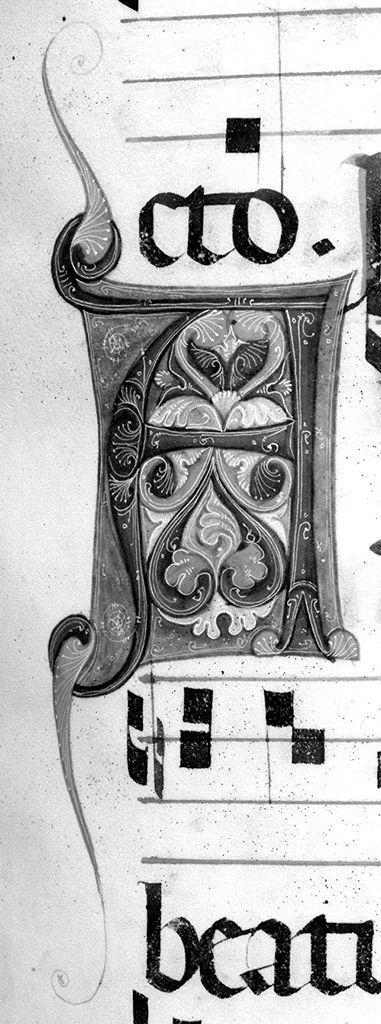 lettera A (miniatura) - ambito fiorentino-aretino (sec. XIII)