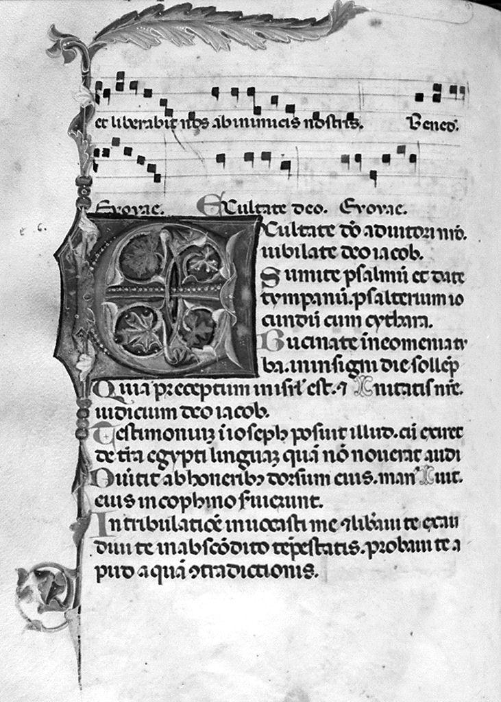 lettera E (miniatura) - ambito fiorentino (prima metà sec. XIV)