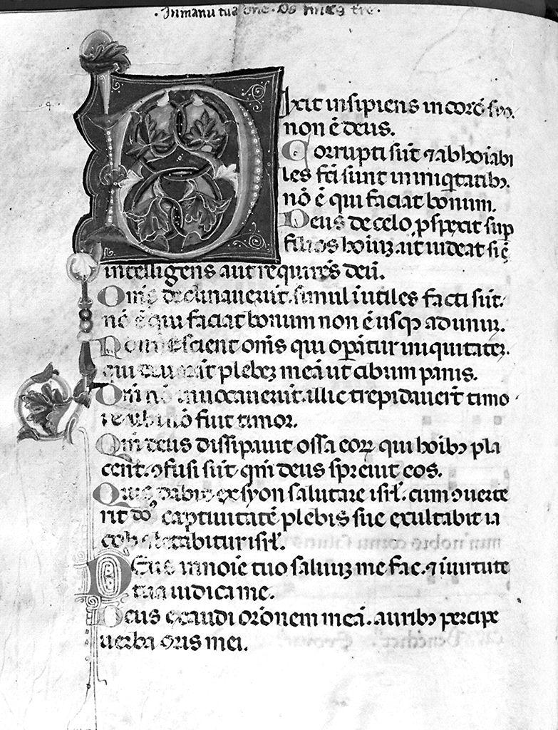 lettera D (miniatura) - ambito fiorentino (prima metà sec. XIV)