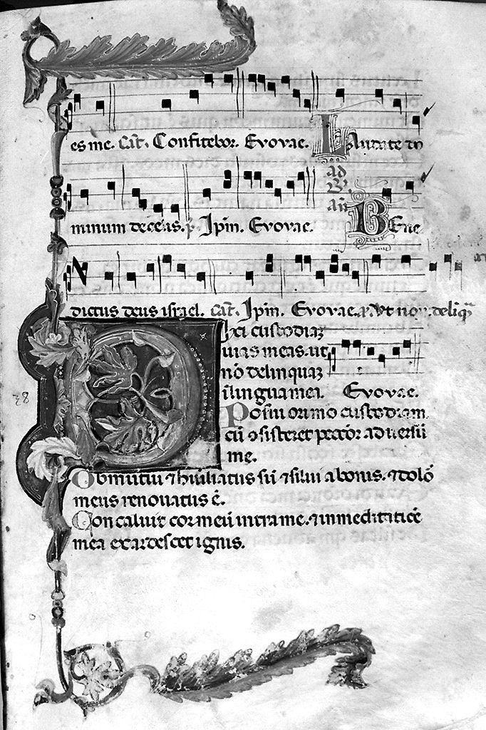 lettera D (miniatura) - ambito fiorentino (prima metà sec. XIV)