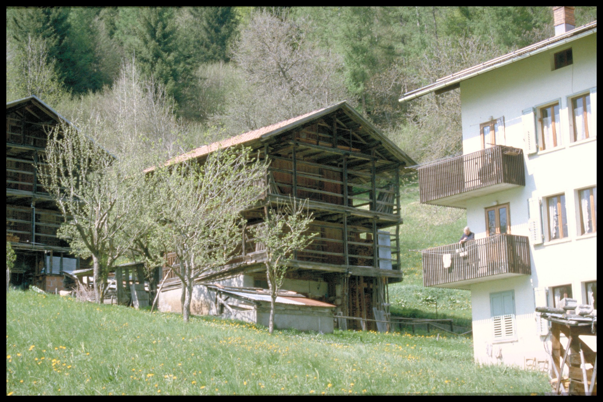 tabià (tabià, rurale) - Vallada Agordina (BL) 