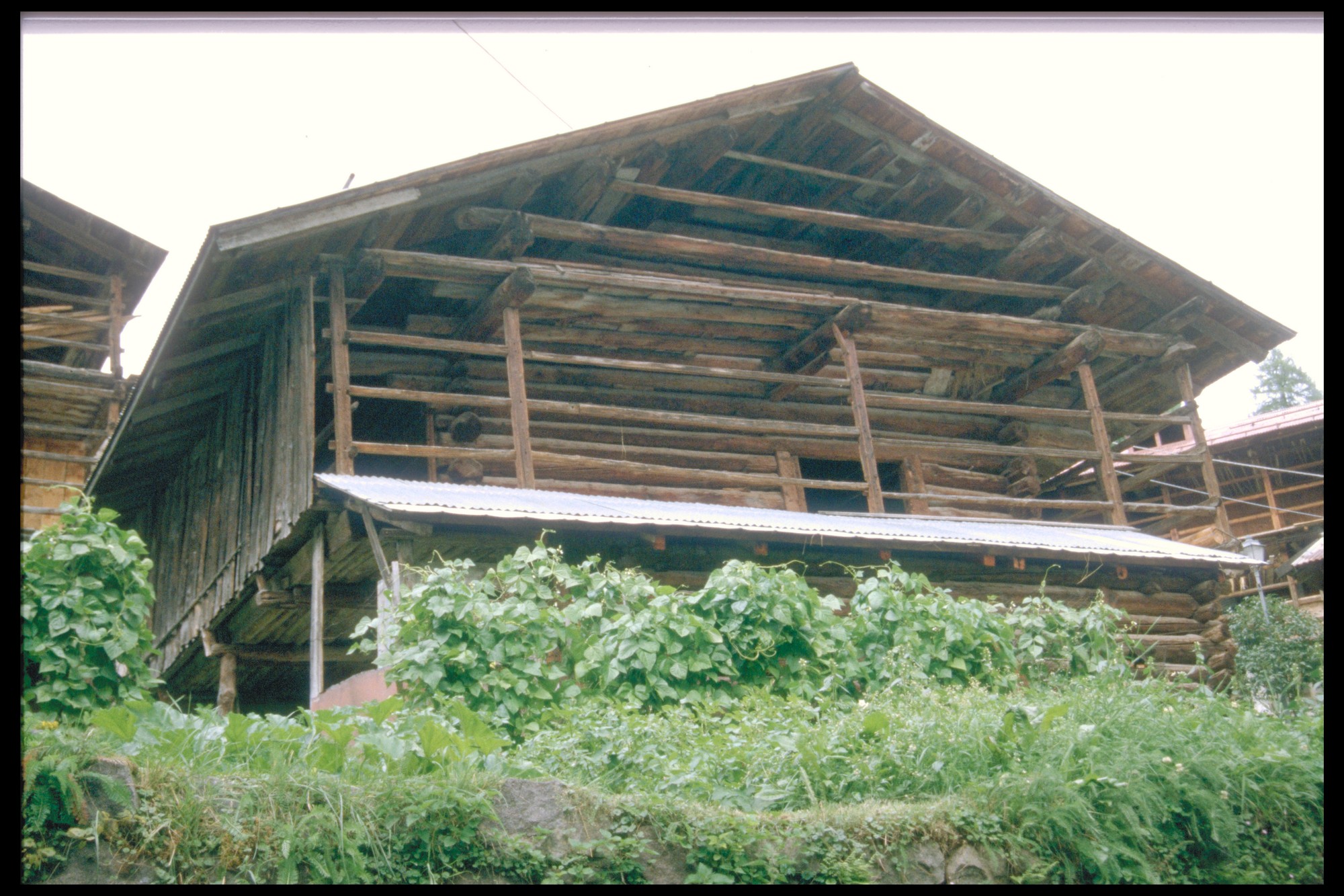 tabià (tabià, rurale) - Falcade (BL) 