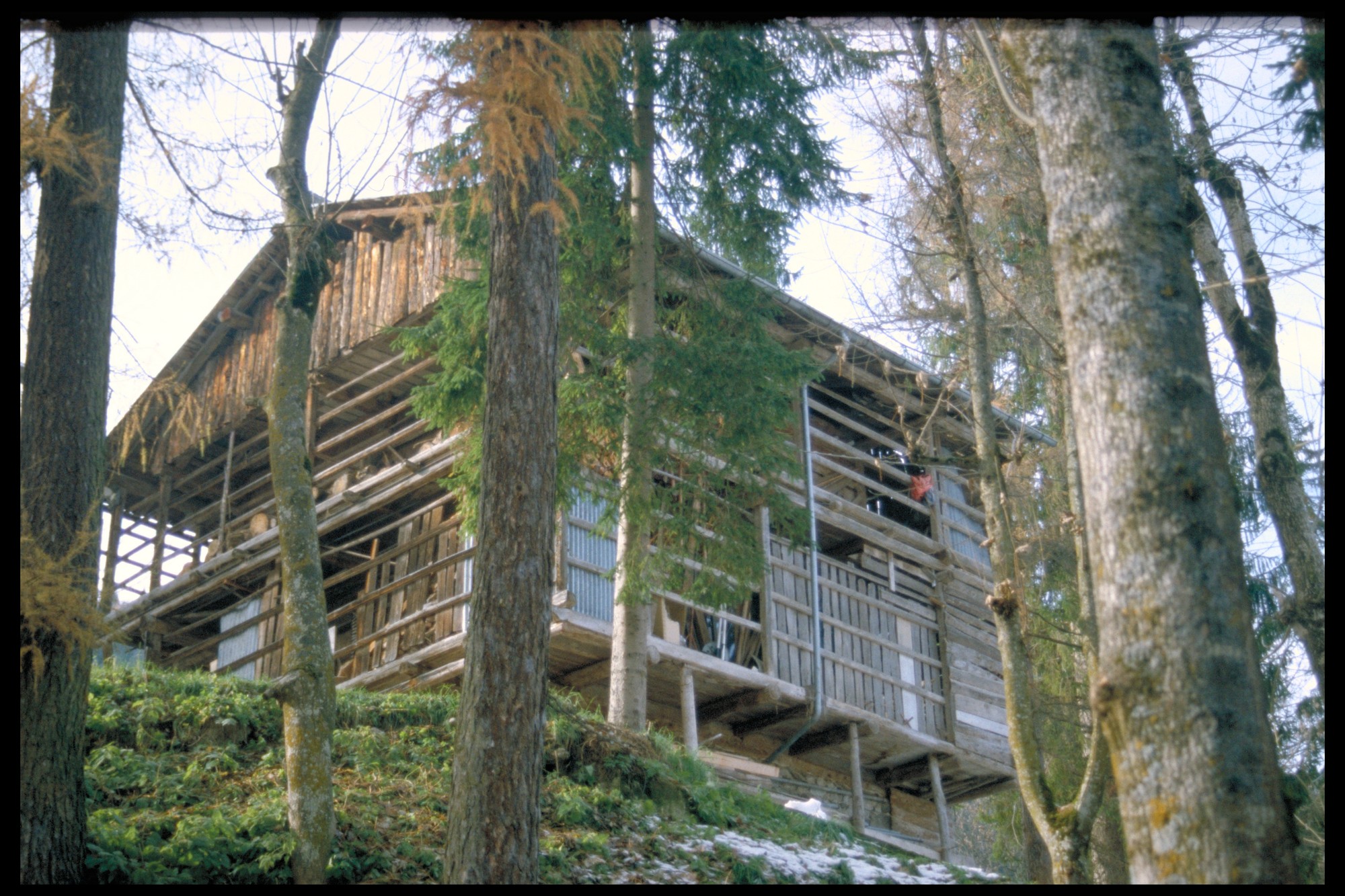 tabià (tabià, rurale) - Falcade (BL) 