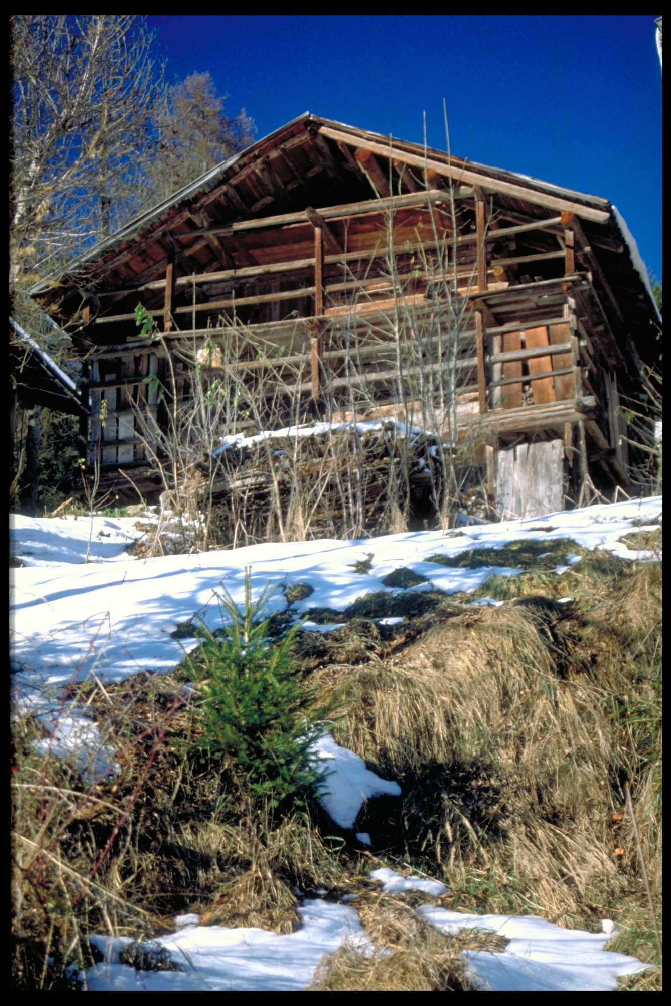 tabià (tabià, rurale) - Falcade (BL) 