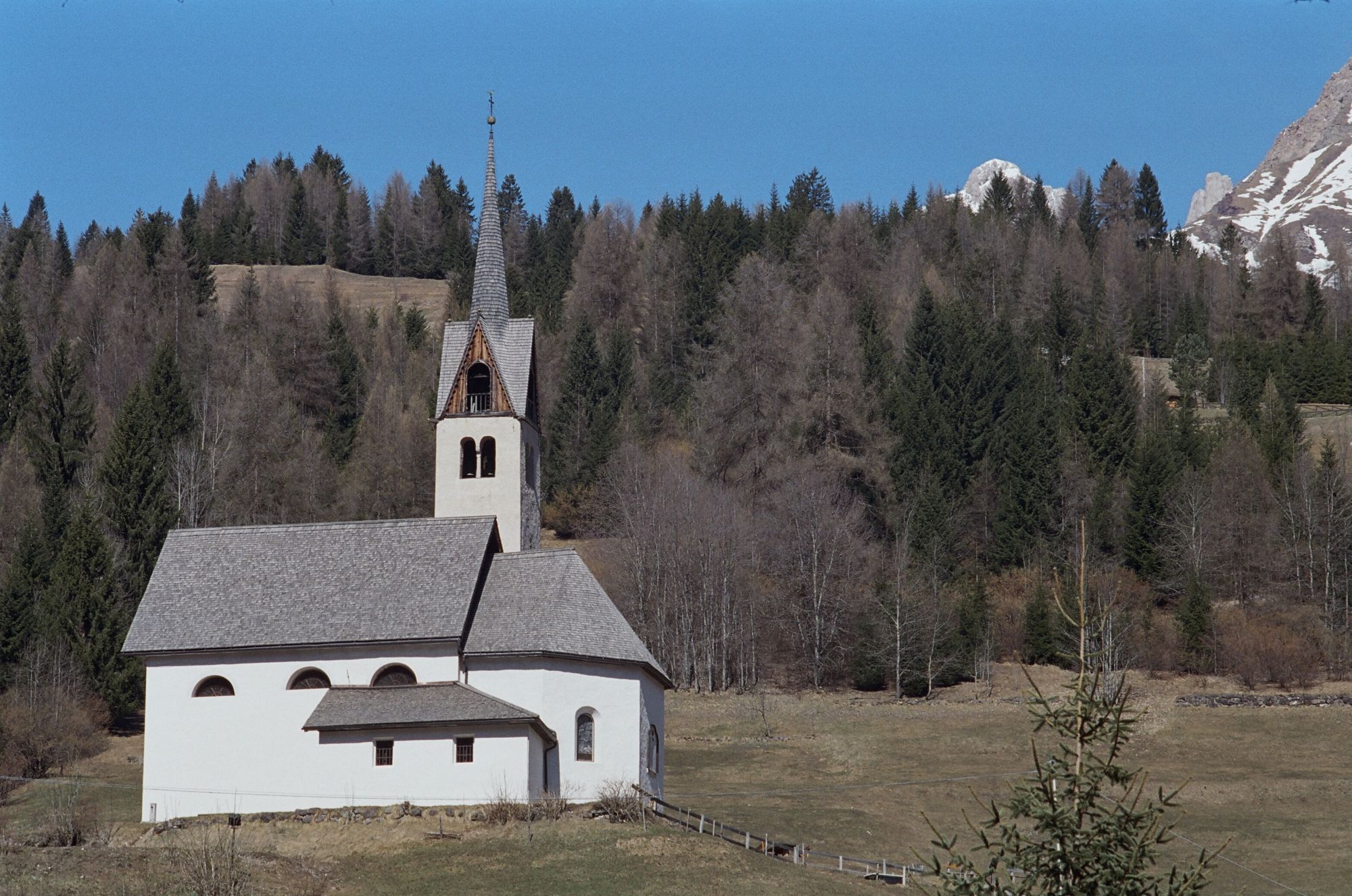 Chiesa della Beata Vergine della Salute (chiesa, parrocchiale) - Falcade (BL) 