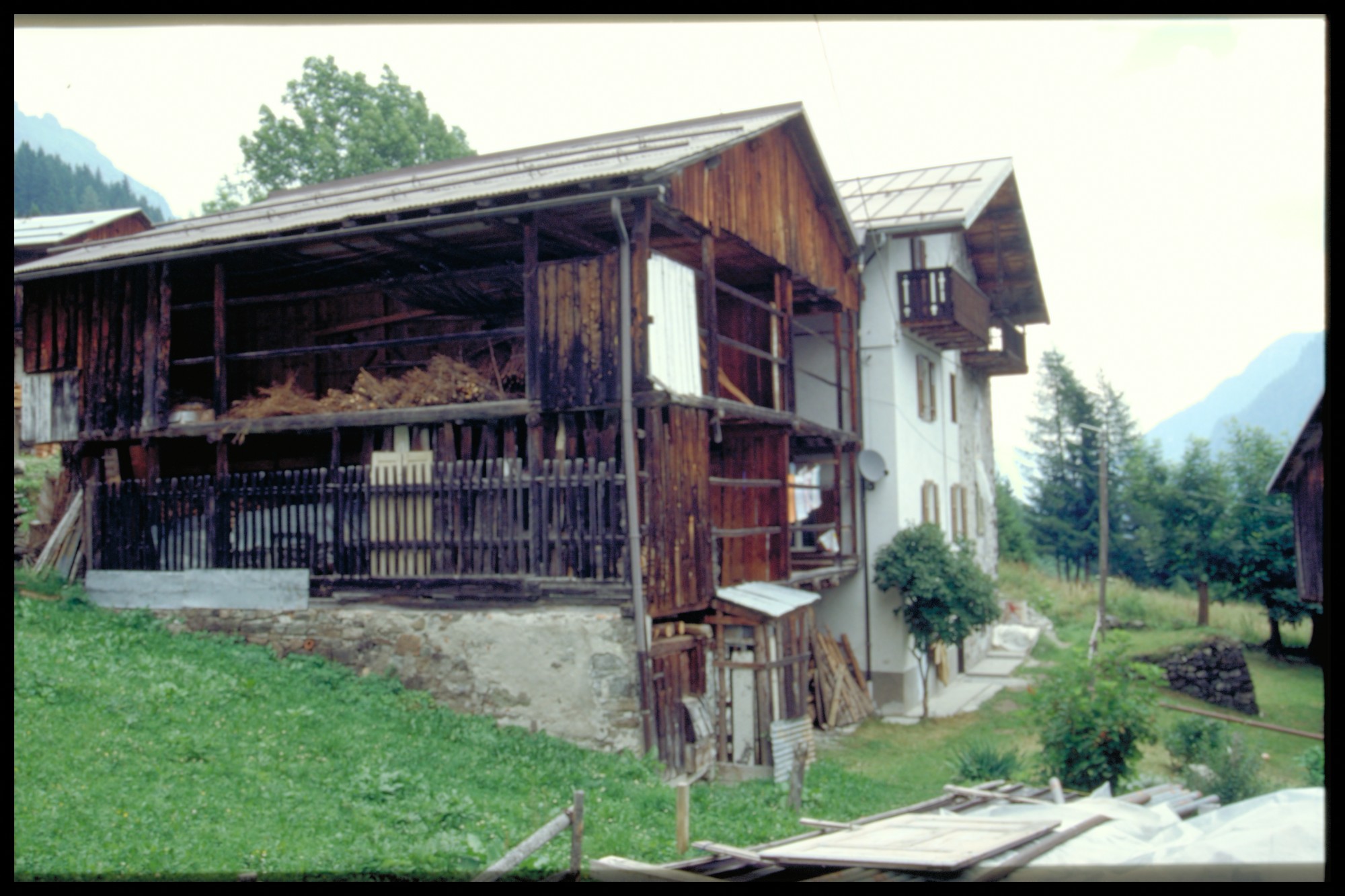 fibula, tipo Certosa (?) (primo quarto III a.C)