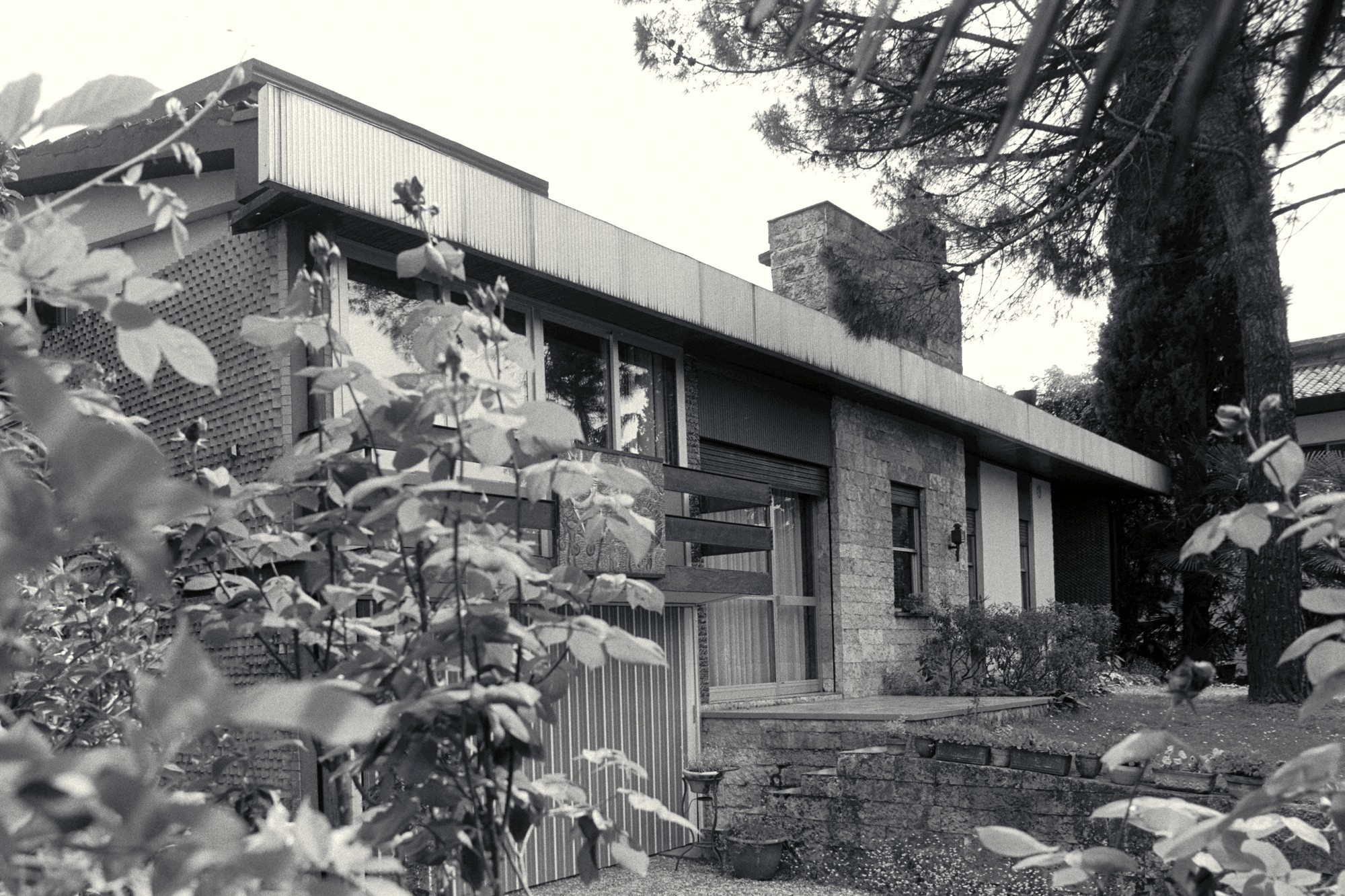 primula rossa (casa, privato) - San Giorgio delle Pertiche (PD) 