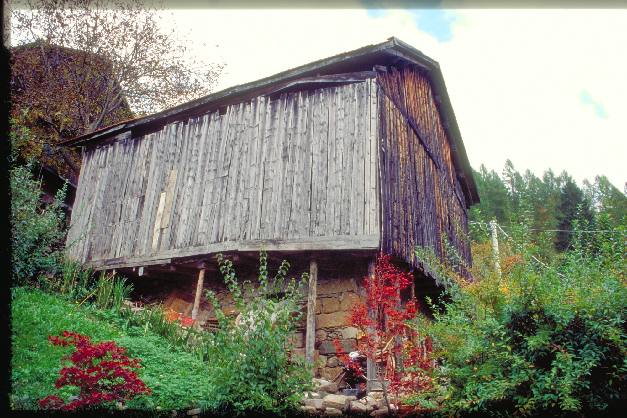 fienile (fienile, rurale) - Agordo (BL) 