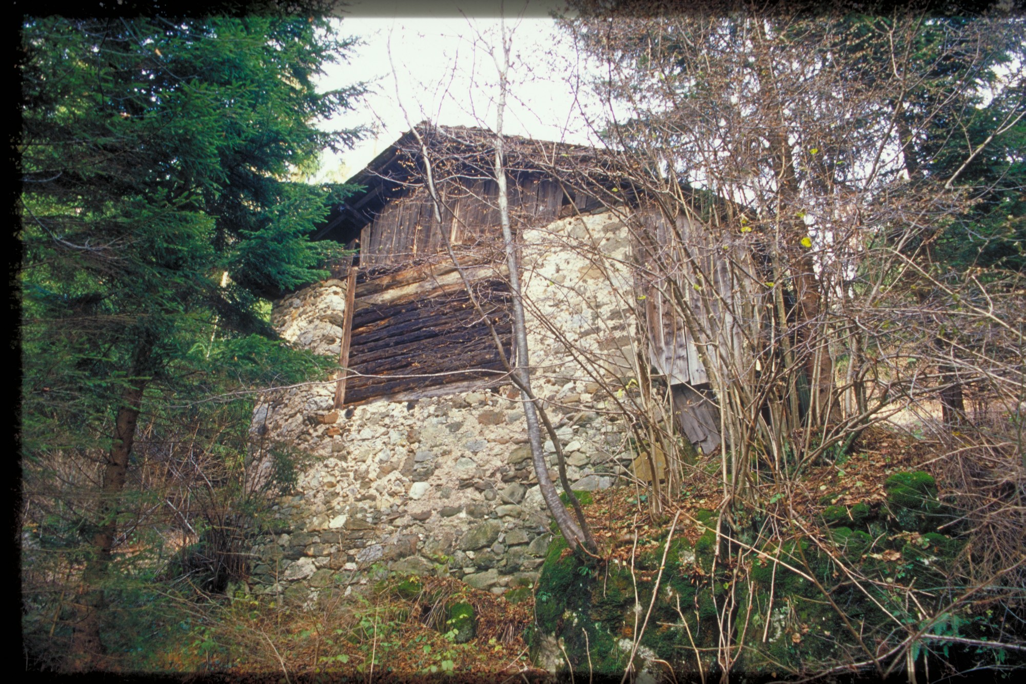 stalla fienile (fienile//stalla, rurale) - Agordo (BL) 