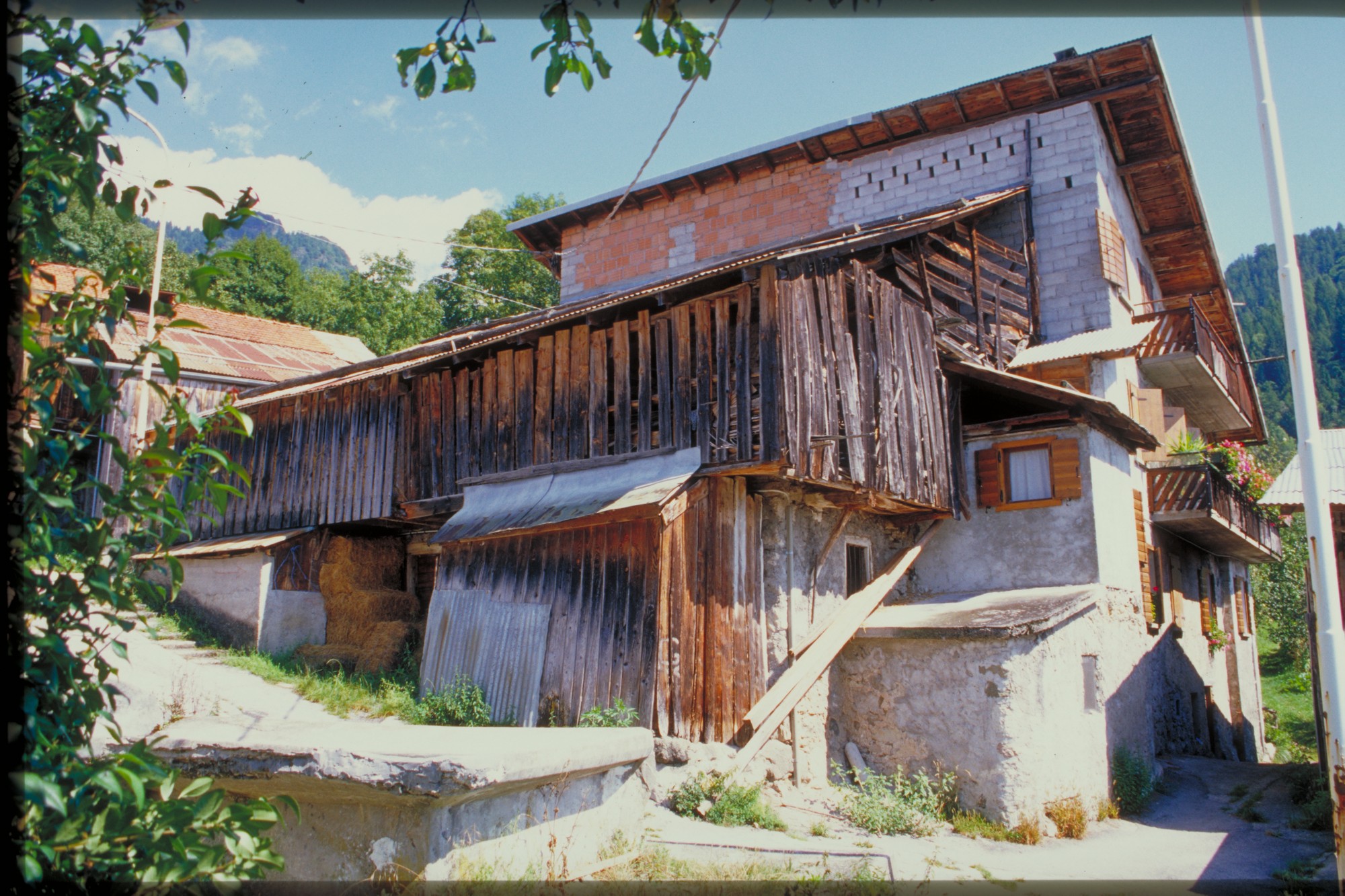 abitazione rurale (abitazione//fienile//stalla, rurale) - Agordo (BL) 