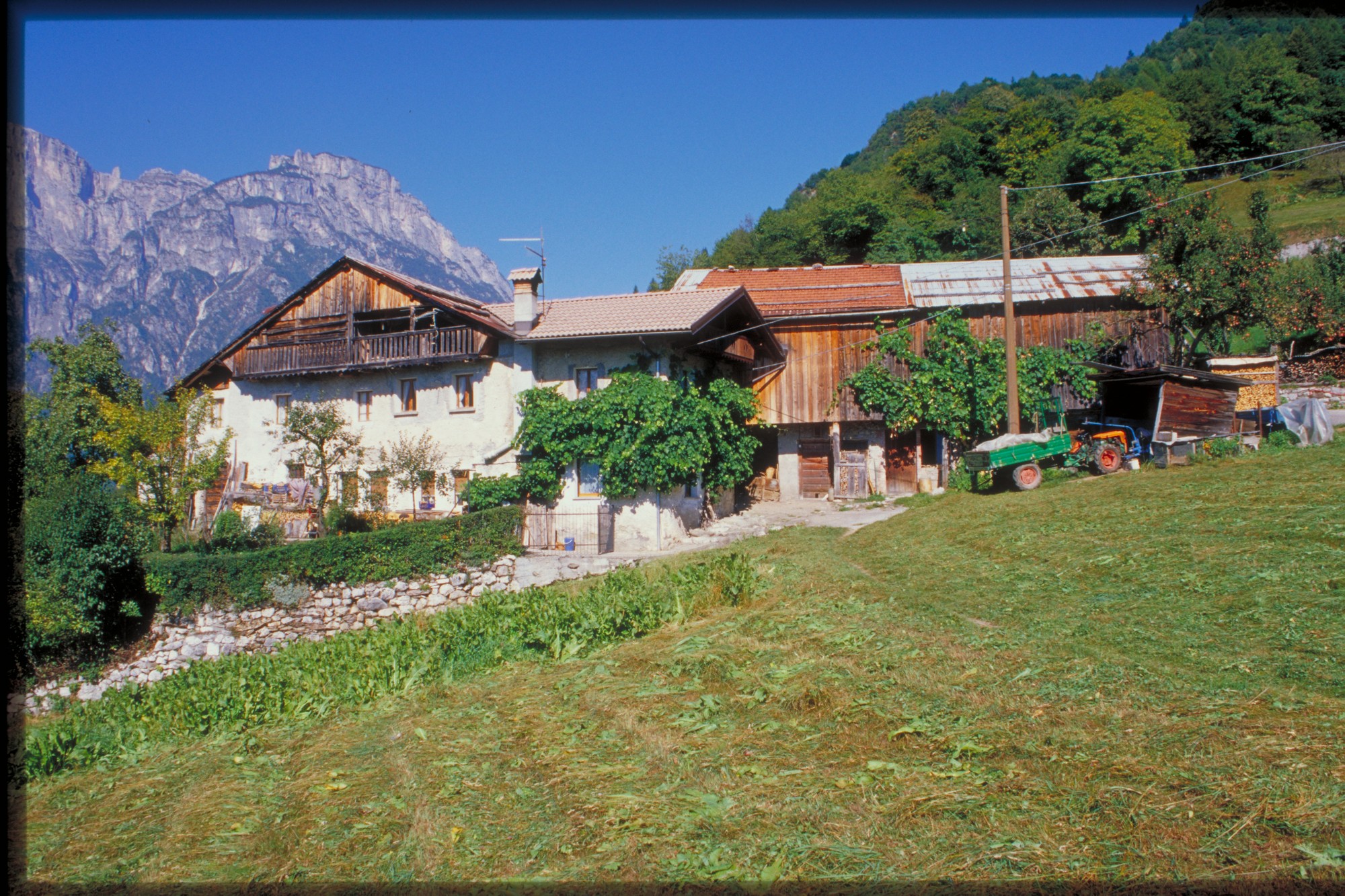 abitazione rurale (abitazione//fienile//stalla, rurale) - Agordo (BL) 
