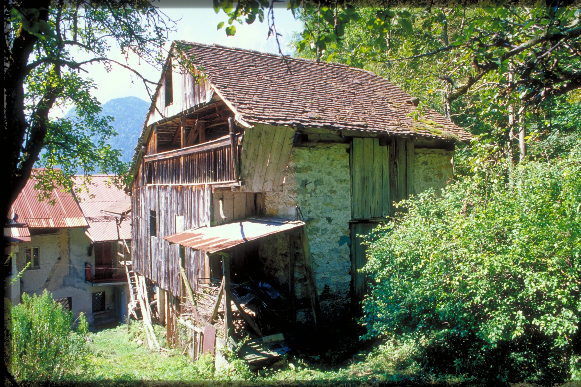 stalla fienile (fienile//stalla, rurale) - Agordo (BL) 